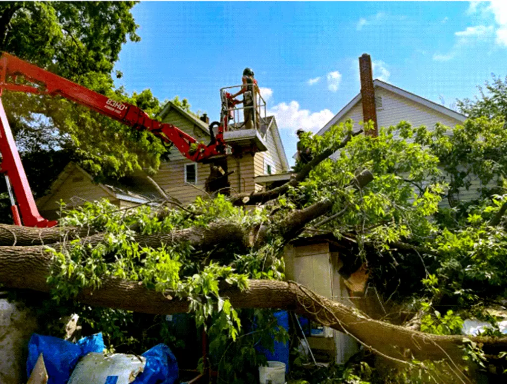 Unlocking Tree Care Excellence: The Benefits of CMC Tracked Aerial Lifts for Our Customers - Renstrom Tree Service