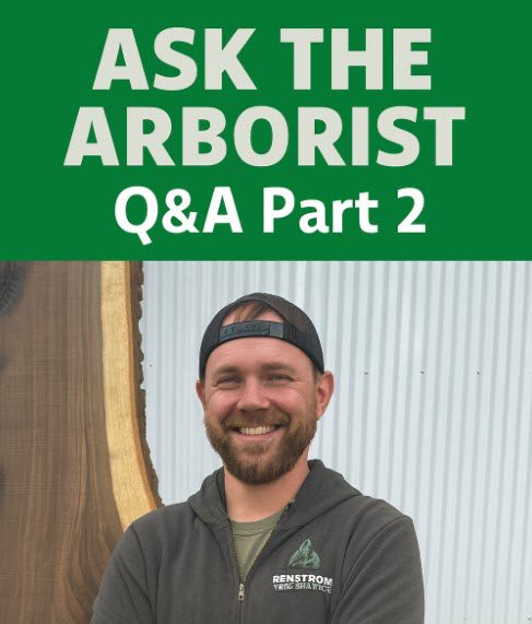 Expert arborist answering tree care questions about oak pruning and safety.