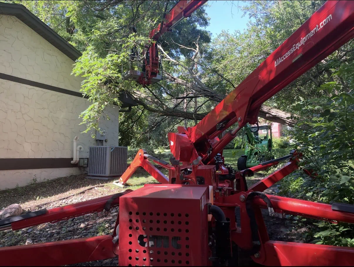 Navigating Storm Tree Damage: A Minnesota Homeowner’s Guide