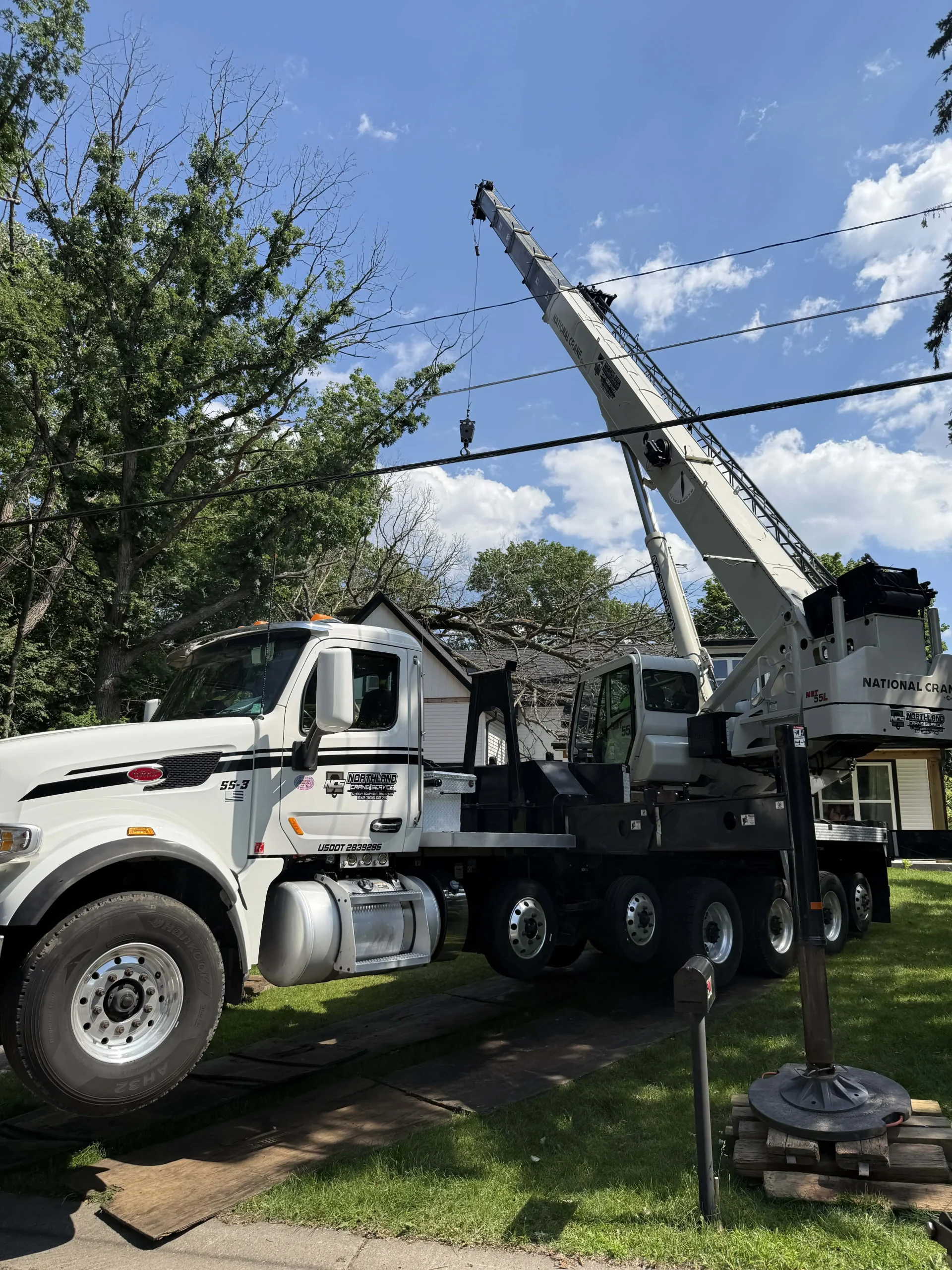 Homeowner's guide to understanding fallen tree removal responsibilities in Minnesota.