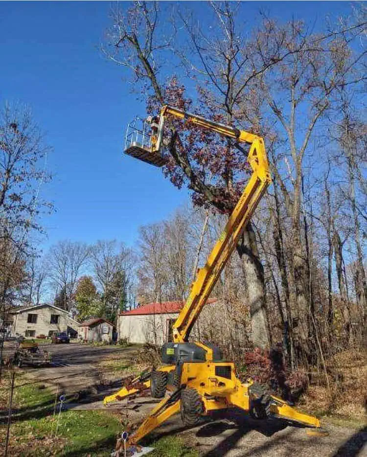 Tree Service in Saint Paul, MN Renstrom Tree Service