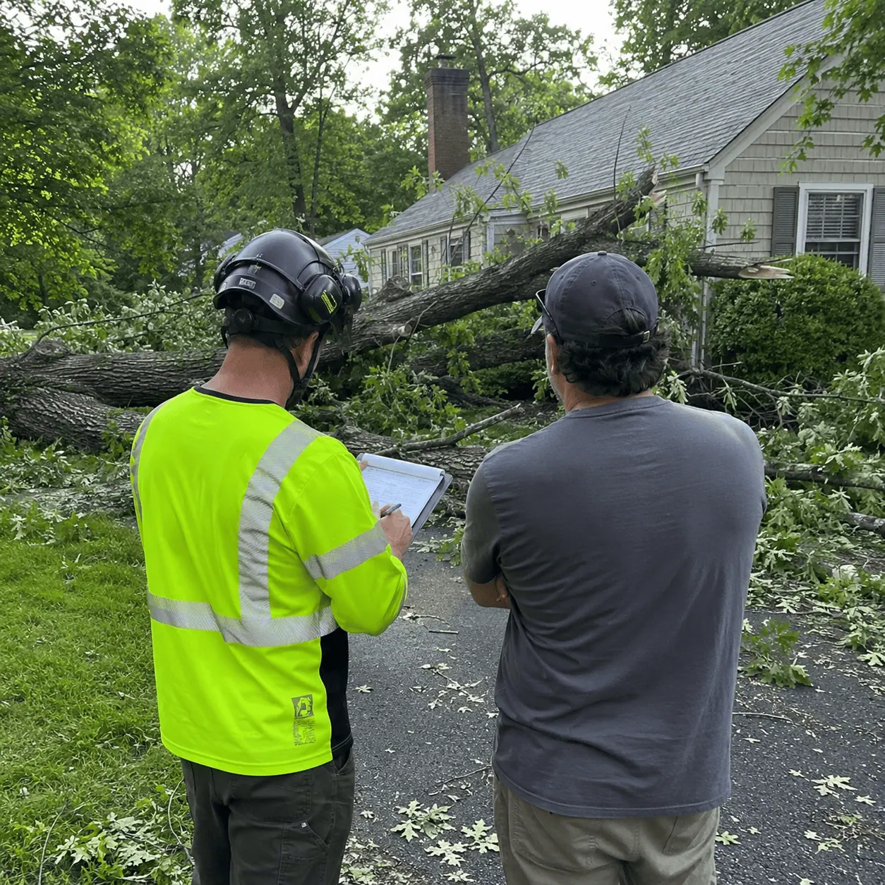 Professional tree service in White Bear Lake MN with complete cleanup