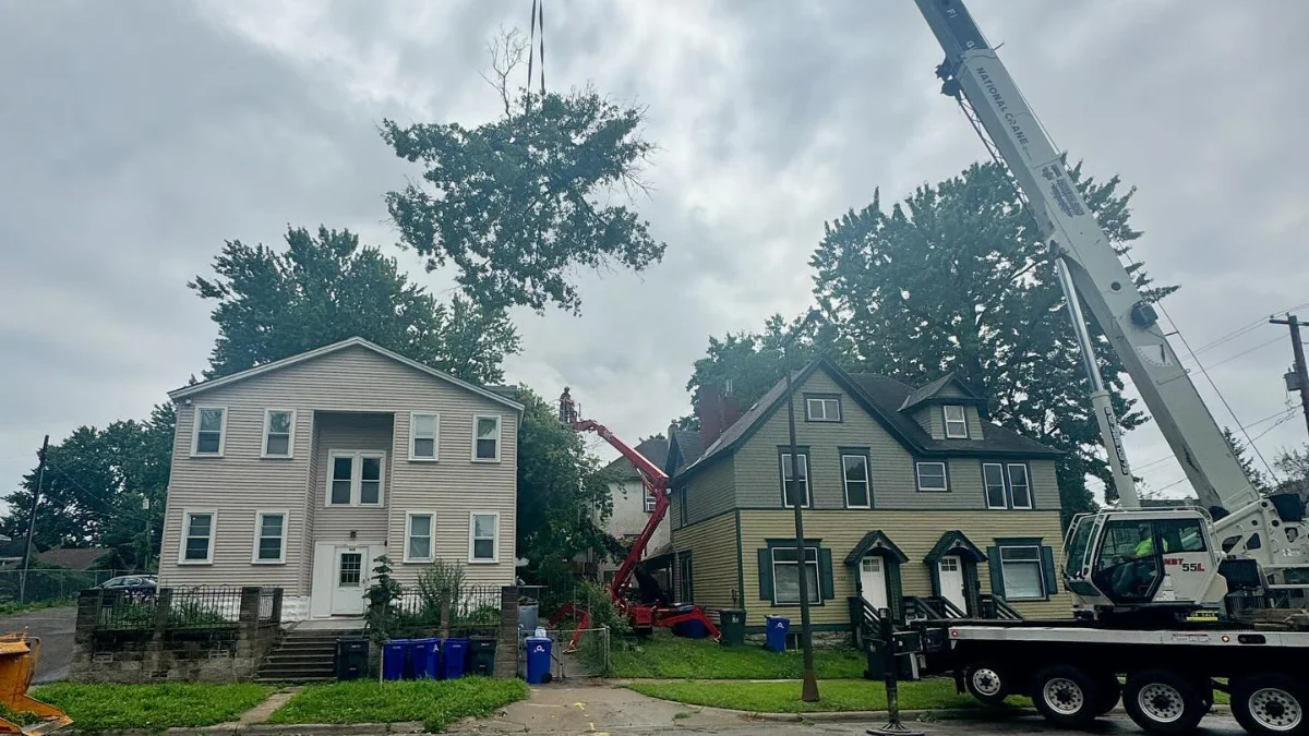 Renstrom Tree Service professional tree removal in White Bear Lake and the Twin Cities Minnesota