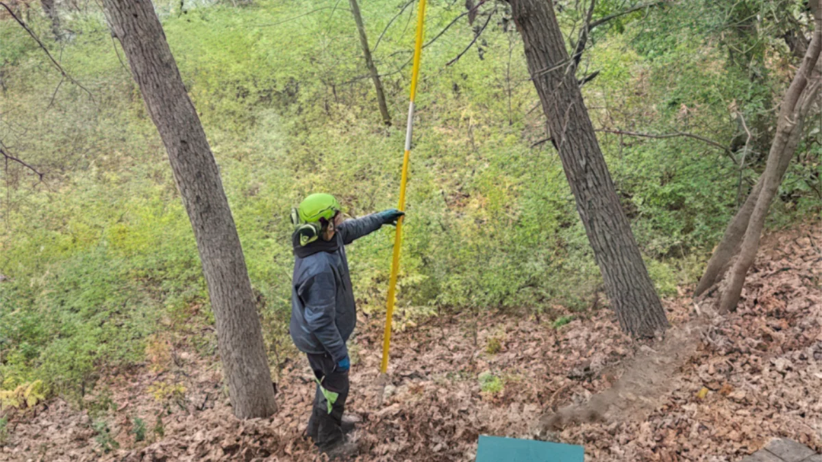 What Happens During a Tree Risk Assessment? A Homeowner's Guide for the Twin Cities