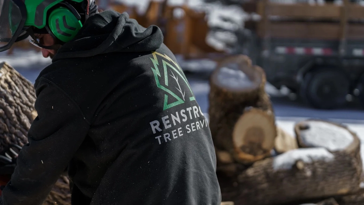 What Is Included in a Professional Tree Removal Estimate?