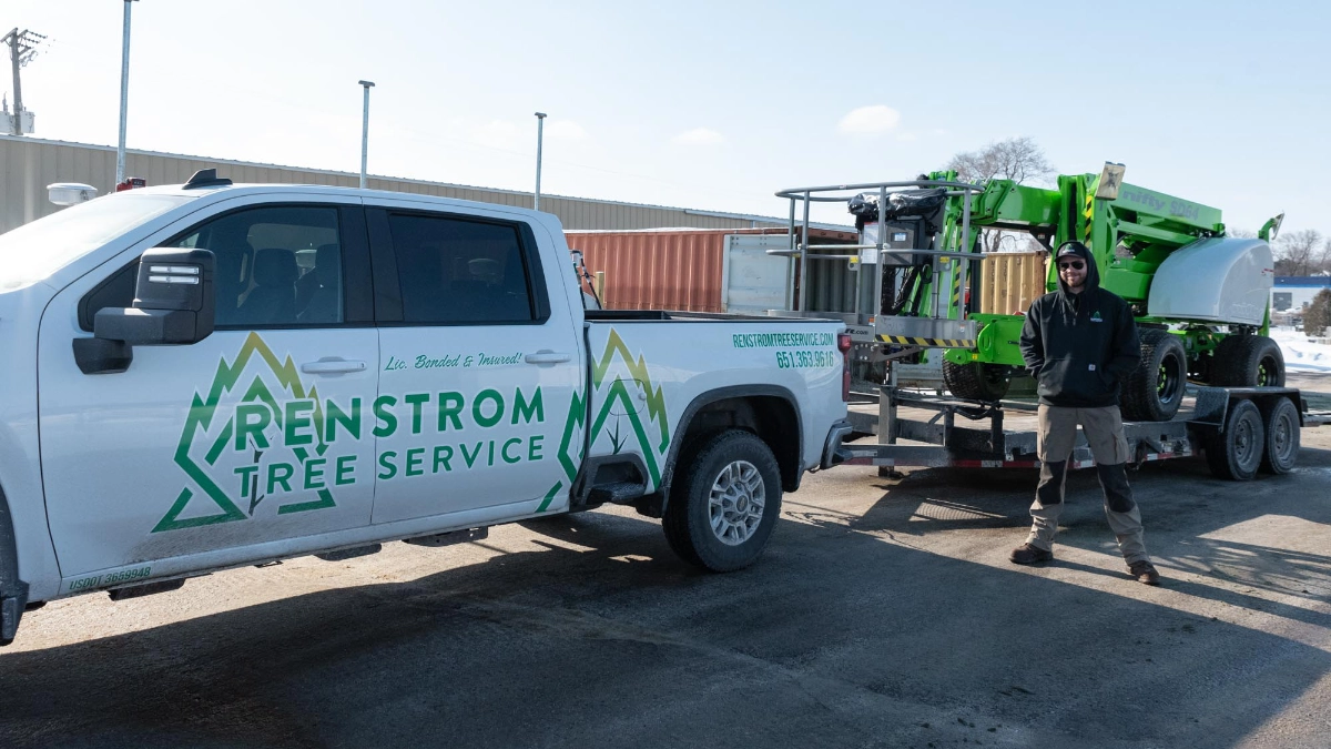 How to Choose a Tree Service in White Bear Lake: 7 Questions to Ask Before You Hire
