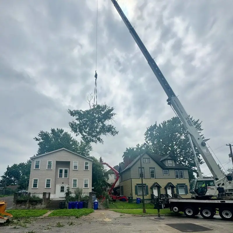 Crane in action for safe and efficient tree removal in Minneapolis neighborhoods.