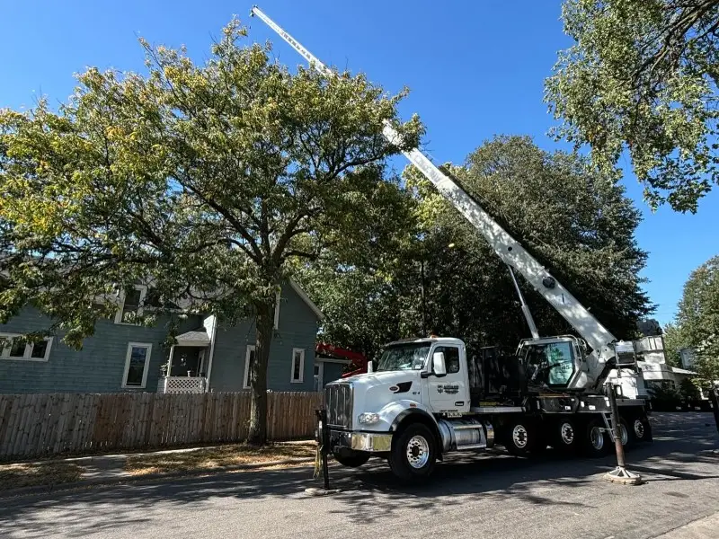 Crane lifting a large tree for safe removal from a residential property.