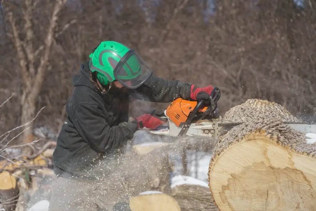 Professional tree removal service in White Bear Lake MN with complete cleanup